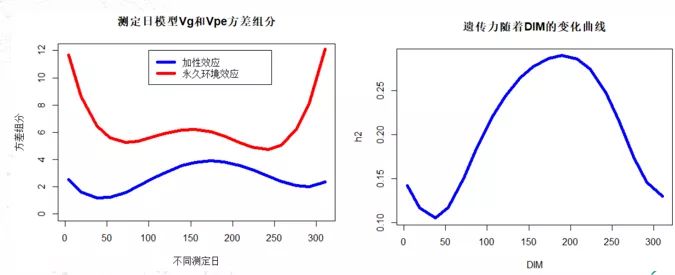 web测定日模型及随机模型的概念是什么