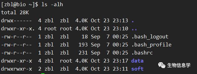 linux命令行中ls命令怎么用