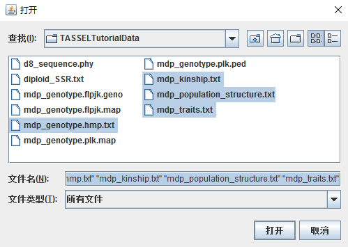 如何使用TASSEL做GWAS说明文档