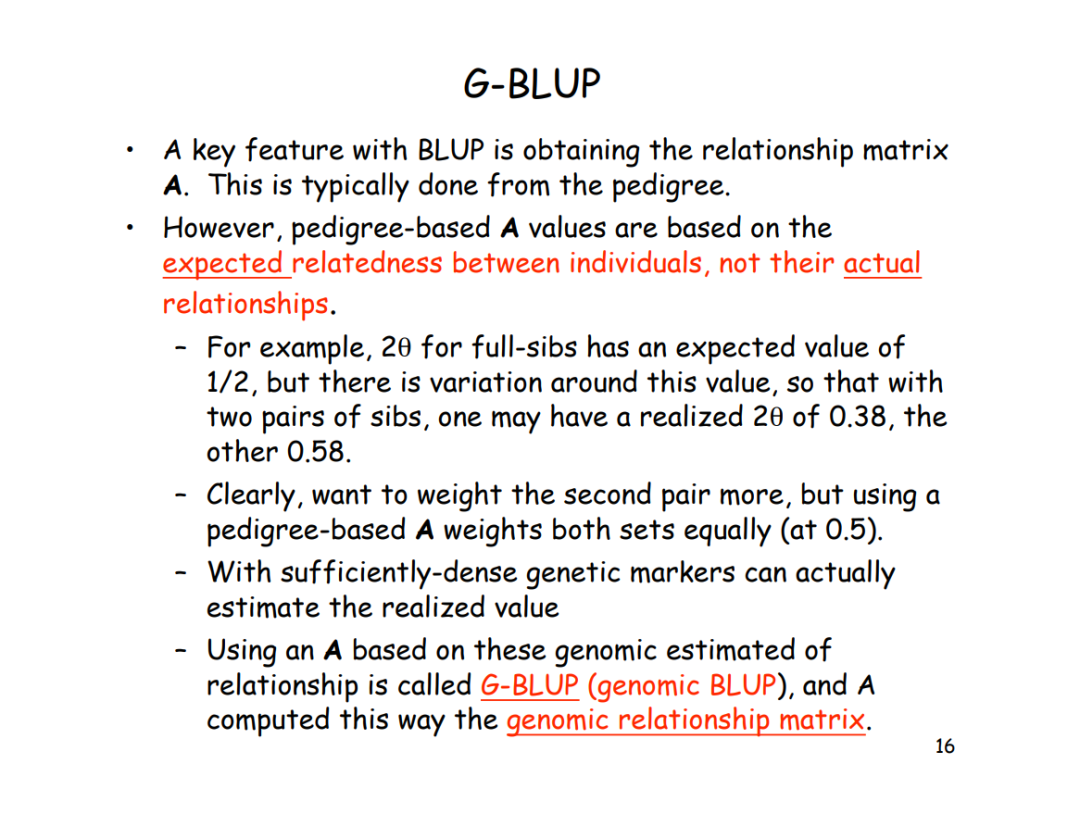 BLUP与全基因组选择的示例分析