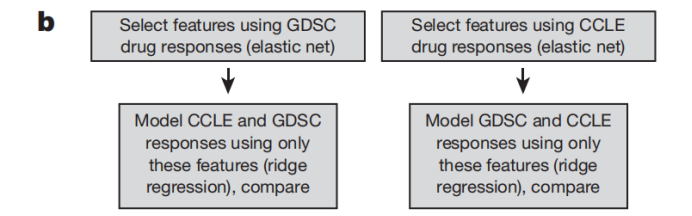 GDSC与CELL数据库的药物基因组学一致性实例分析