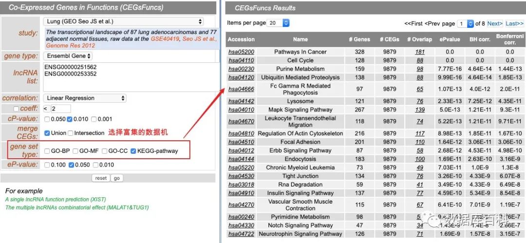 lncRNA功能预测原理是什么