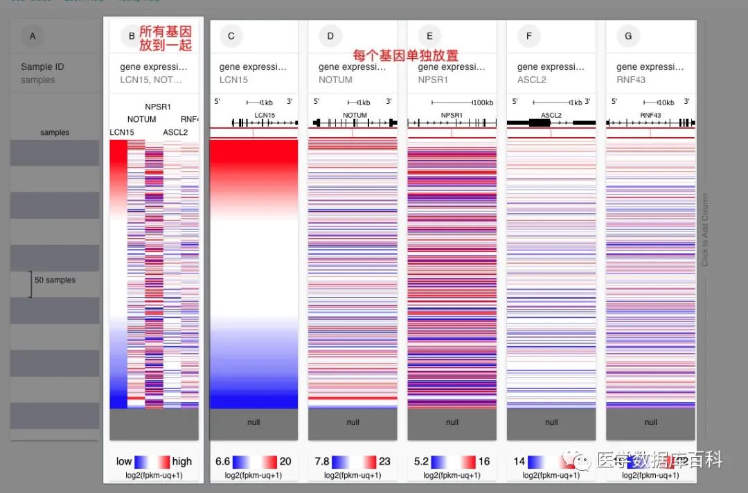 如何使用UCSC XENA综合性分析某一个基因在癌症当中的作用