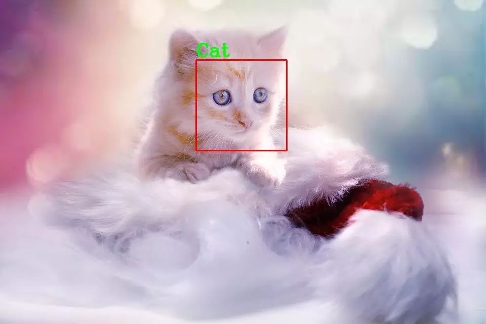 OpenCV如何实现猫脸检测