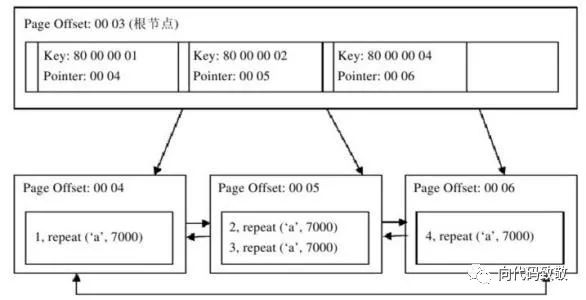 MySQL InnoDB存儲引擎體系架構(gòu)支持的索引是什么