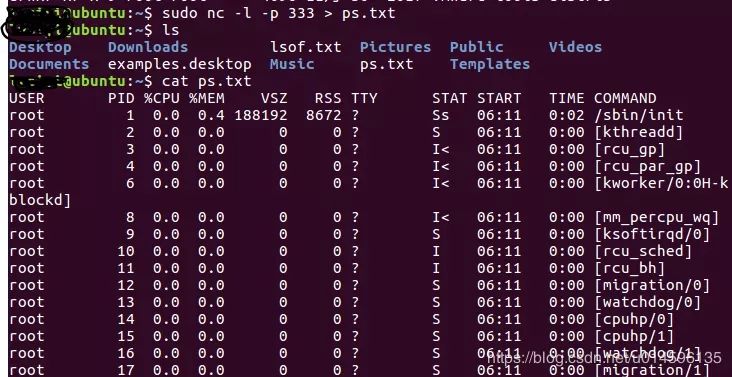 kali 工具NETCAT的使用方法