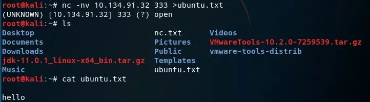 kali 工具NETCAT的使用方法