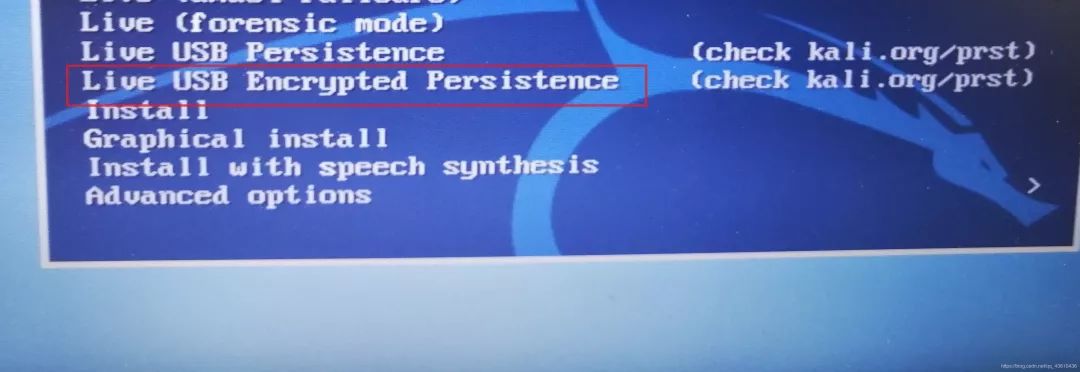 kali 持久加密usb 的制作方法