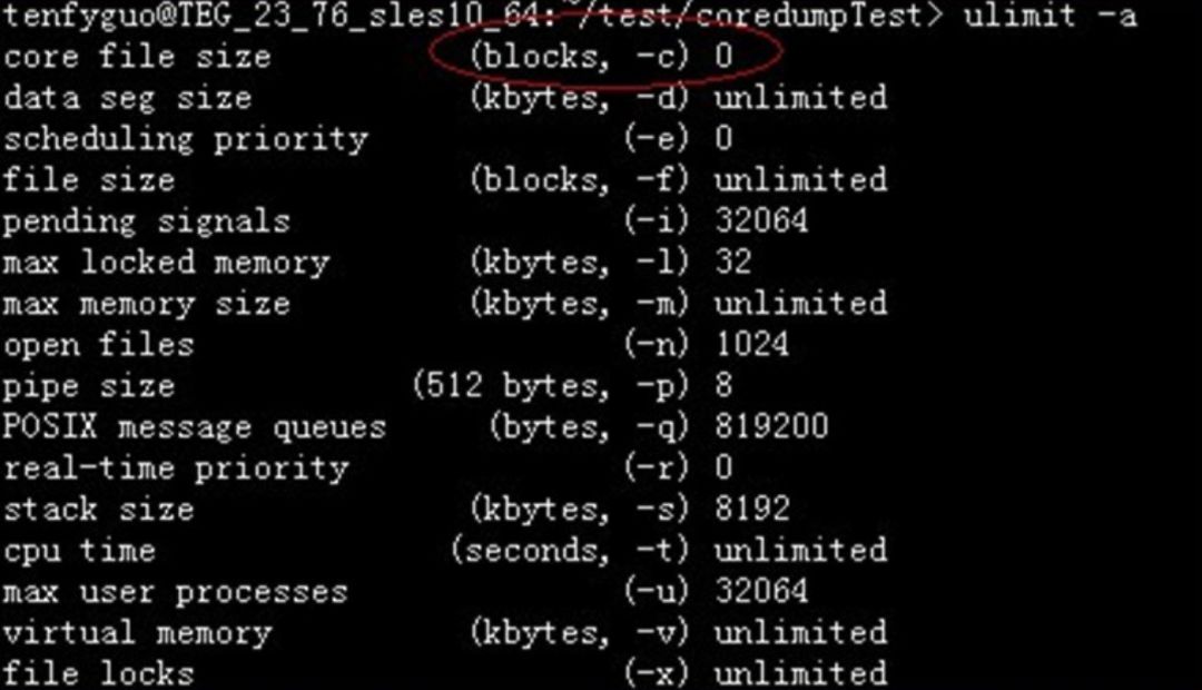 如何理解coredump