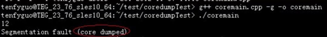 如何理解coredump