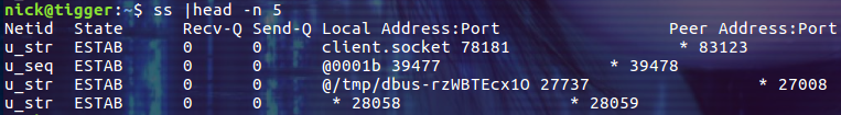 linux 中ss命令如何使用