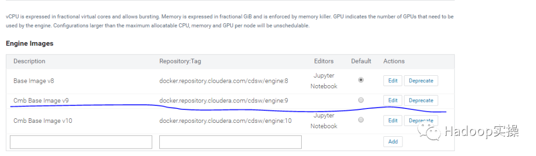 如何解決CDSW中定制docker無法使用Jupyter Notebook問題