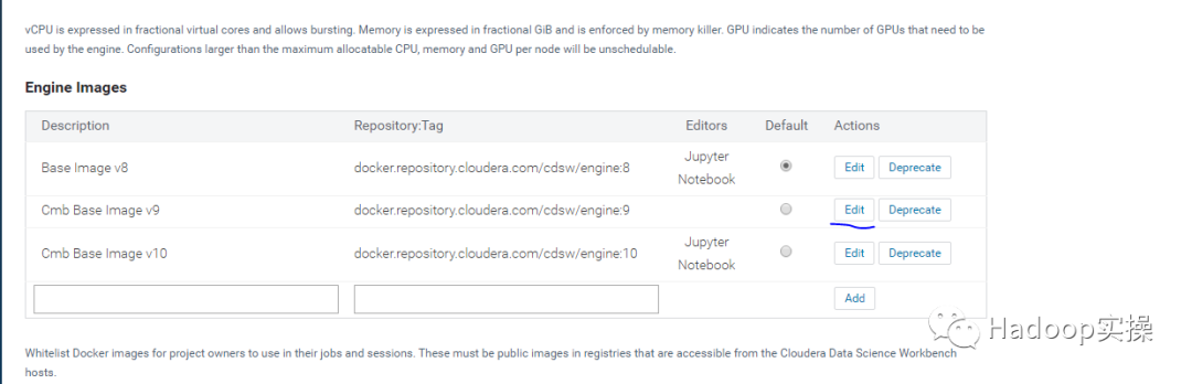 如何解決CDSW中定制docker無法使用Jupyter Notebook問題