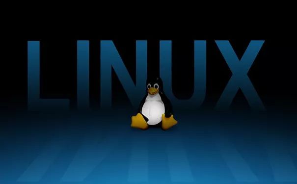 Linux的目录有哪些用途