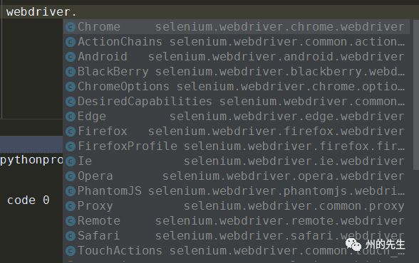 如何使用Selenium操纵浏览器打开网页