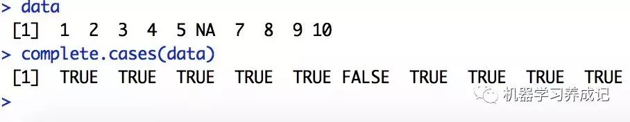 如何理解r语言中的缺失值处理