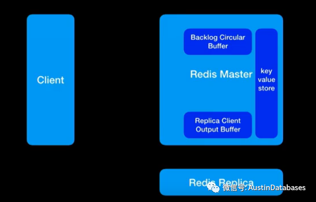 如何分析redis  复制