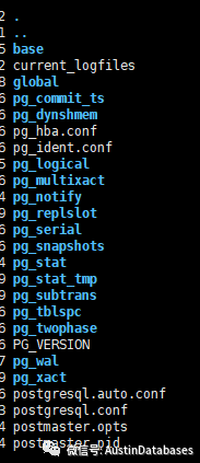 PostgreSQL 文件目錄的文件與FSM and VM 基礎(chǔ)知識是什么