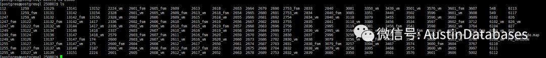 PostgreSQL 文件目录的文件与FSM and VM 基础知识是什么