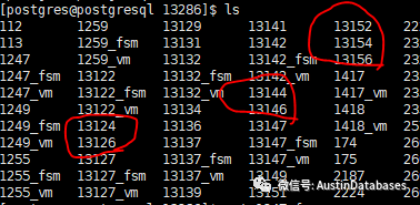 PostgreSQL 文件目錄的文件與FSM and VM 基礎(chǔ)知識是什么