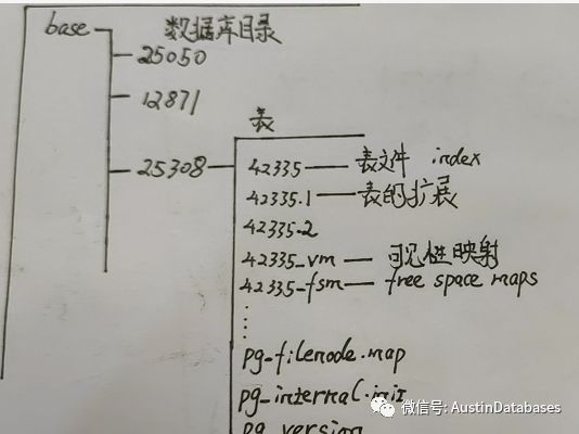 PostgreSQL 文件目录的文件与FSM and VM 基础知识是什么