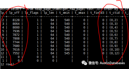 如何用PG的pageinspect工具进行查看分析