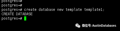 PostgreSQL Template模板怎么用