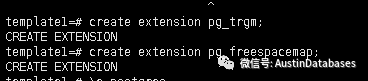 PostgreSQL Template模板怎么用