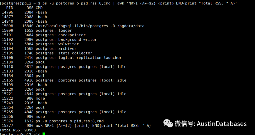 如何從PostgreSQL外部來查看內(nèi)存