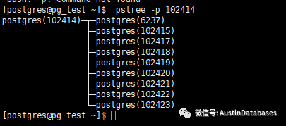 通过linux命令来将postgresql杀死有什么影响