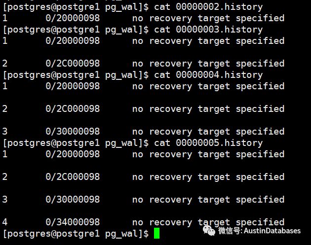 如何分析PostgreSQL WAL LOG 與時(shí)間線timeline與rejoin node錯(cuò)誤