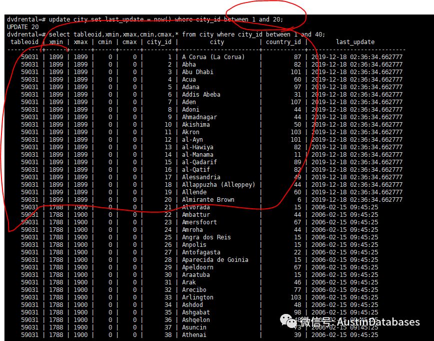 Postgresql和MYSQL如何选择