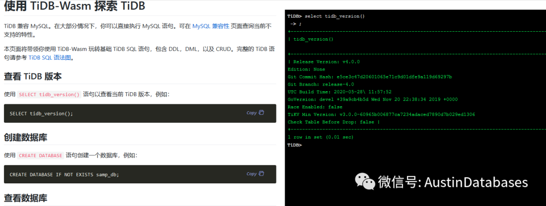 怎么快速开始接触TIDB