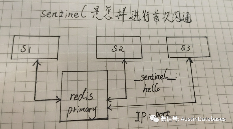 如何进行Redis  sentinel 的简单说明