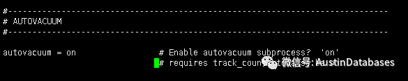 postgresql中autovacuum有什么用