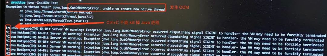 Java中OOM试验造成的电脑雪崩引发的示例分析
