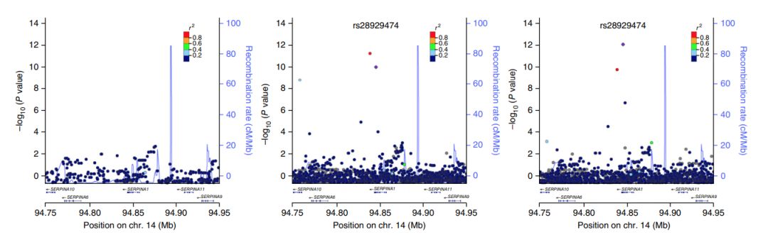 Haplotype Reference Consortium数据库有什么用