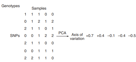 GWAS分析中如何使用PCA校正群体分层