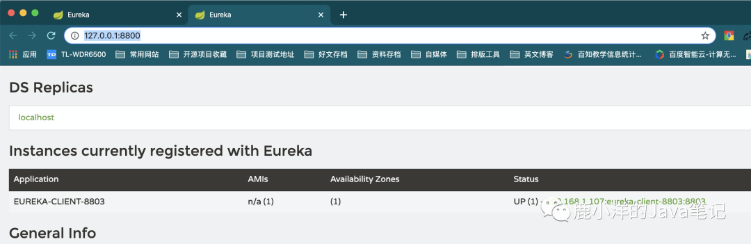 如何分析Eureka集群和自我保护机制