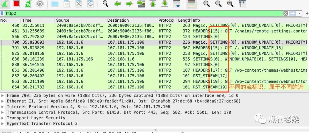 HTTP/2协议中Stream的示例分析