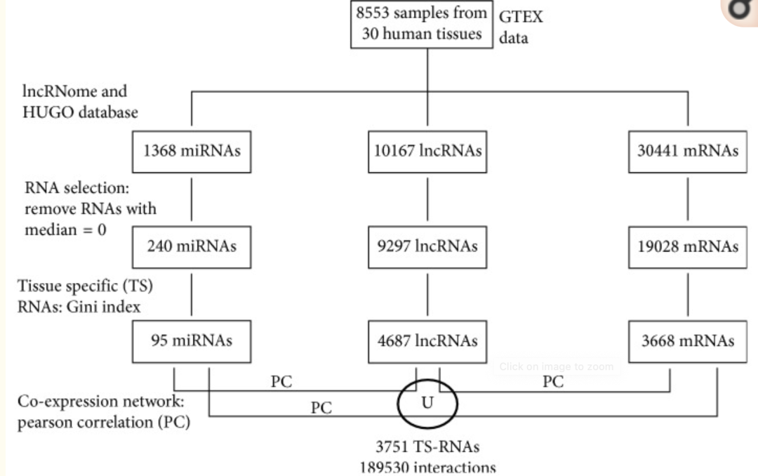 怎么探索lncRNA表達量的組織特異性