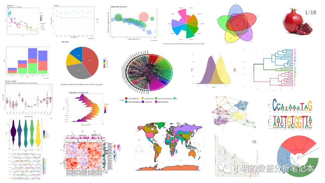 常用的数据可视化方法及R语言实现是怎样的