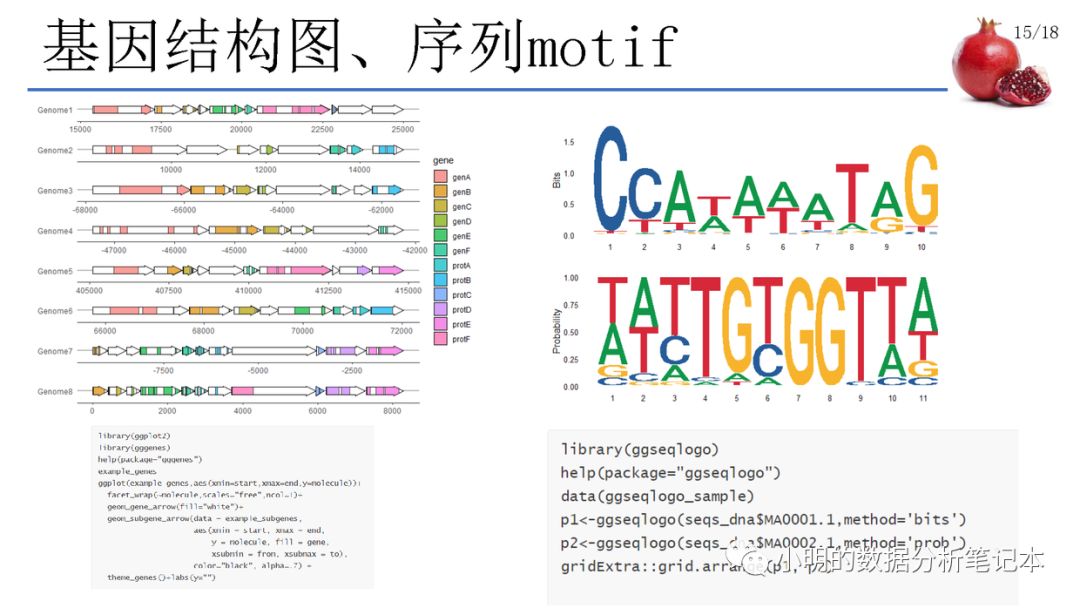 常用的數(shù)據(jù)可視化方法及R語言實(shí)現(xiàn)是怎樣的