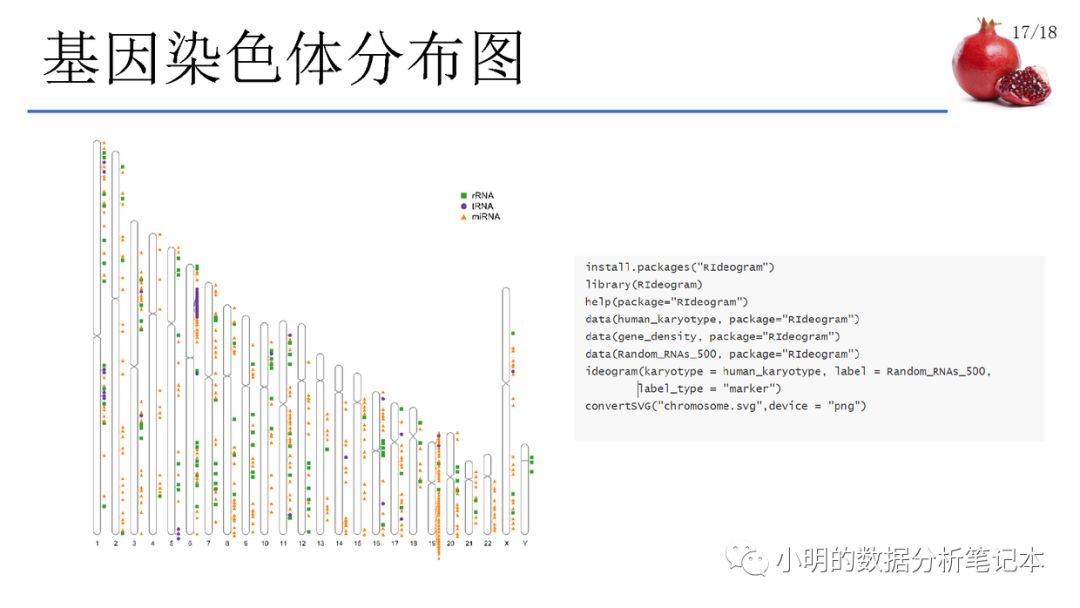 常用的數(shù)據(jù)可視化方法及R語言實(shí)現(xiàn)是怎樣的