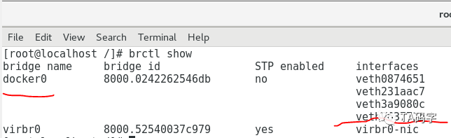 docker宿主环境中容器网络是怎么样的