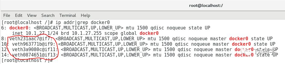 docker宿主环境中容器网络是怎么样的