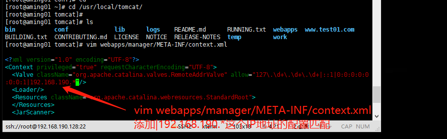 如何理解tomcat的日志和FTP