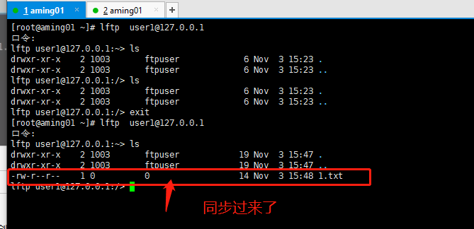 如何理解tomcat的日志和FTP