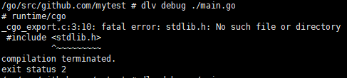 docker dlv進(jìn)行debug時報_cgo_export.c:3:10錯誤怎么解決