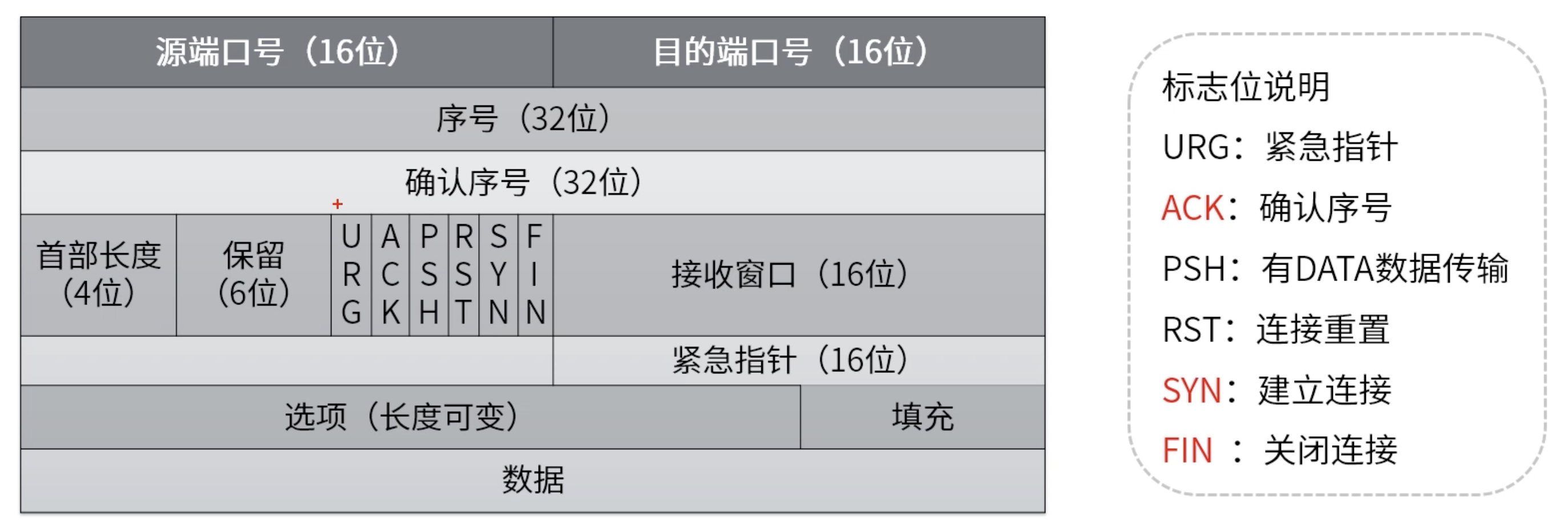 网络七层模型与TCP/UDP的原理是什么